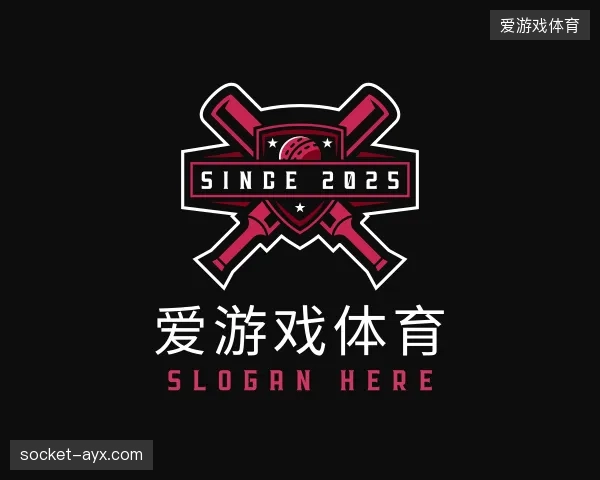 介绍爱游戏体育官方